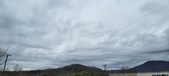 Enlarge photo 271