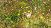 Enlarge photo 229