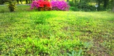 Enlarge photo 225