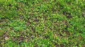 Enlarge photo 223