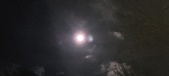 Enlarge photo 104
