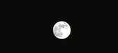 Enlarge photo 105