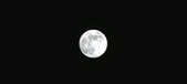 Enlarge photo 109