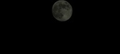 Enlarge photo 107
