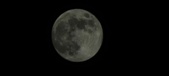 Enlarge photo 111