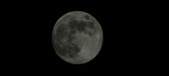 Enlarge photo 112