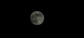 Enlarge photo 113