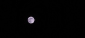 Enlarge photo 117