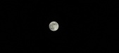 Enlarge photo 116