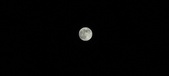 Enlarge photo 118