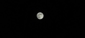 Enlarge photo 119