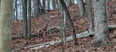 Enlarge photo 122