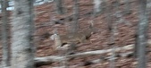 Enlarge photo 126