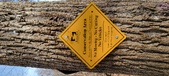 Enlarge photo 128