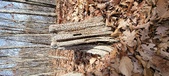 Enlarge photo 132