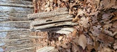 Enlarge photo 131