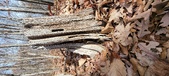 Enlarge photo 130