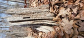 Enlarge photo 134