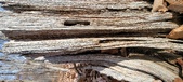 Enlarge photo 141