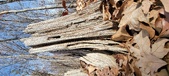 Enlarge photo 140