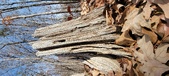 Enlarge photo 139