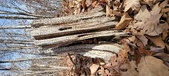 Enlarge photo 138