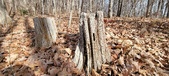Enlarge photo 142