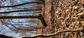 Enlarge photo 144