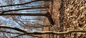 Enlarge photo 145