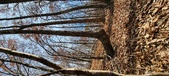 Enlarge photo 146