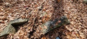 Enlarge photo 147