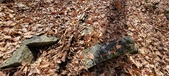 Enlarge photo 148