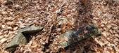 Enlarge photo 149