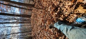 Enlarge photo 153