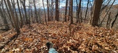 Enlarge photo 152