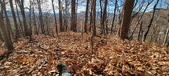 Enlarge photo 151