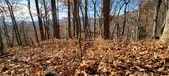Enlarge photo 150