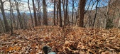 Enlarge photo 154