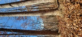 Enlarge photo 155