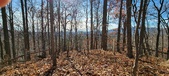 Enlarge photo 156