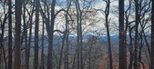 Enlarge photo 158