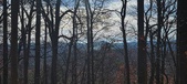 Enlarge photo 159