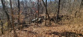 Enlarge photo 160