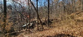 Enlarge photo 161