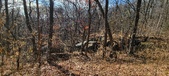 Enlarge photo 164