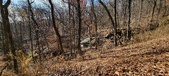 Enlarge photo 163