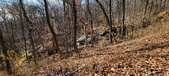 Enlarge photo 162