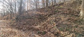 Enlarge photo 166