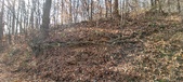 Enlarge photo 168