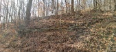 Enlarge photo 169